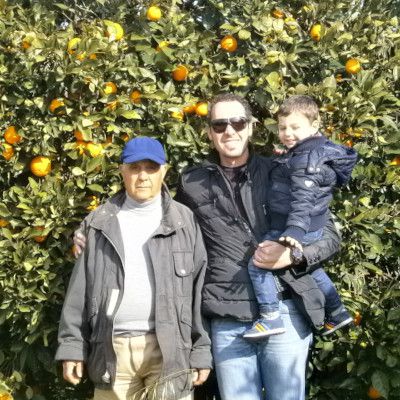 Odoo • Immagine e testo