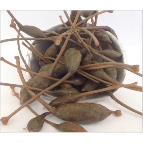 Cocunci vaso da 130 gr