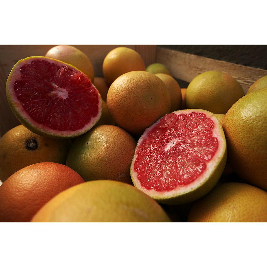 rosa Pampelmusen Herkunft Italien, lose per kg (Postkiste)