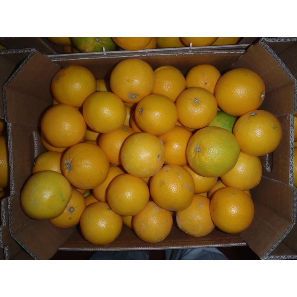 Arance Navel BIO Origine Italia Cat. II Calibro 6/7 cestello da 12kg