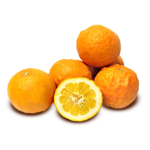Bitterorangen Herkunft Italien Kat. II Kal. 7/8 lose per kg (Postkiste)