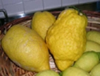 Cedri / Zedernfrucht, Herkunft Italien, 6 kg Kiste