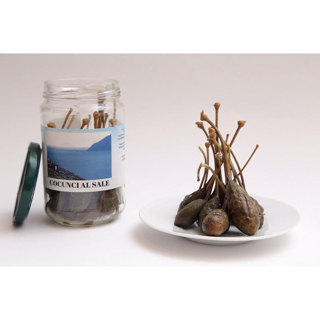 Câprons (fruits du câprier) au sel - 130 g