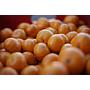 Mandarini Ciaculli BIO Origine Italia Cat. II Calibro 3/4 - cestello da 6 Kg 