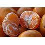 Mandarines Ciaculli BIO Origine: Italie, cat. II Cal. 3/4 - caisse de 6 kg
